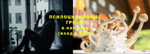 скорость Баксан